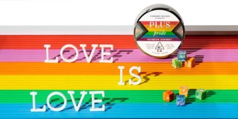 What Pride Means to Plus